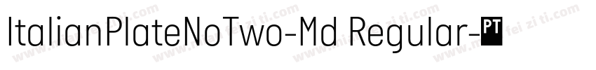 ItalianPlateNoTwo-Md Regular字体转换